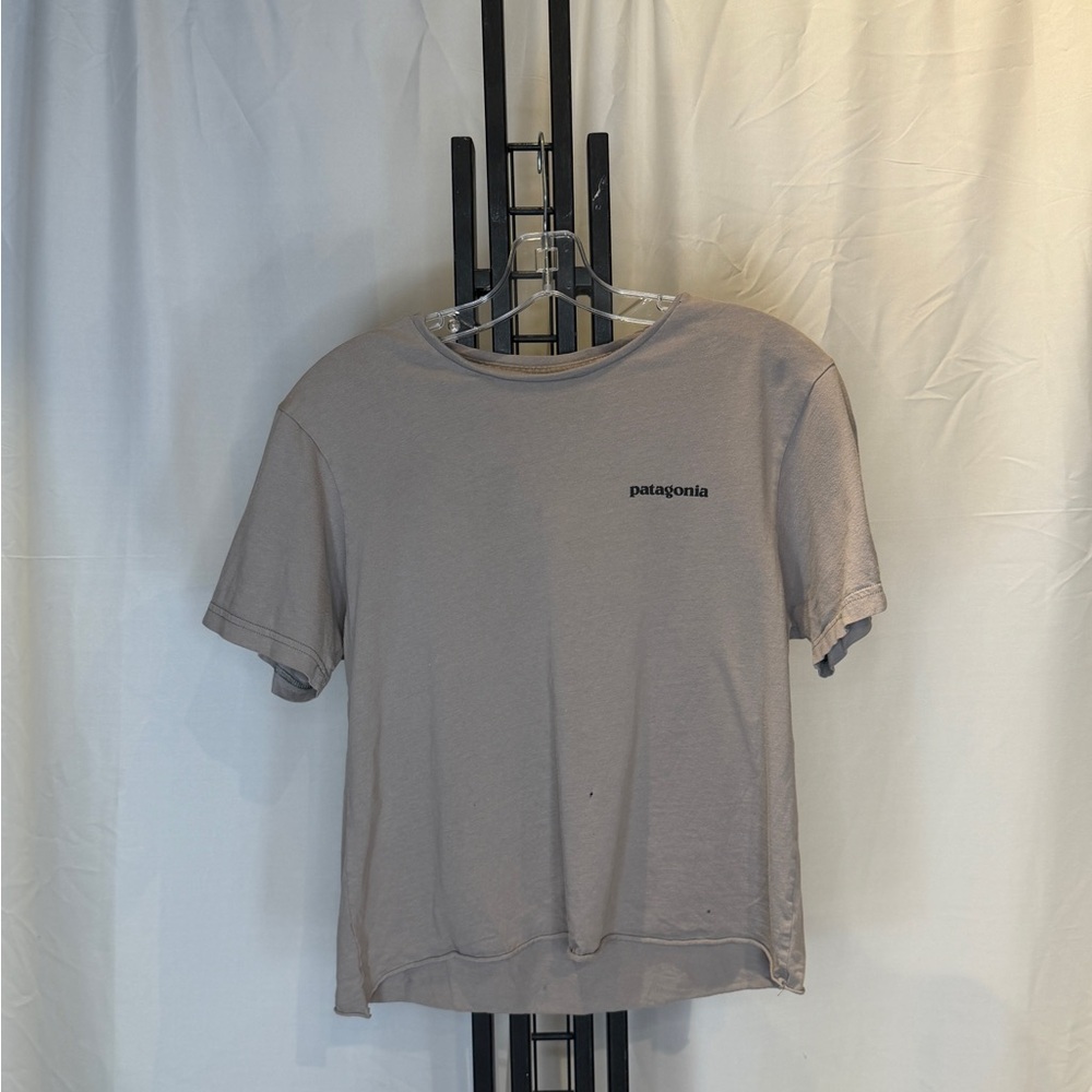 Patagonia Gray Crop Top